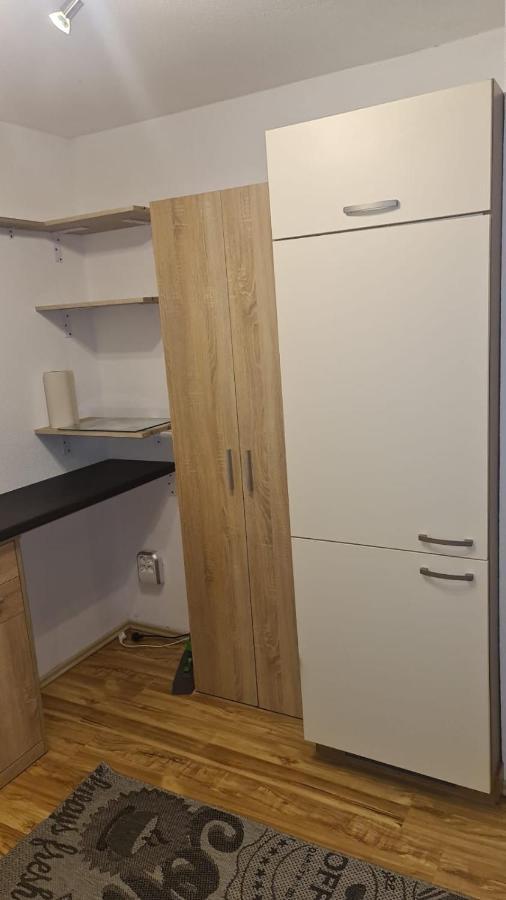 Apartment Rheintal Im Alpenvorland Batschuns Экстерьер фото