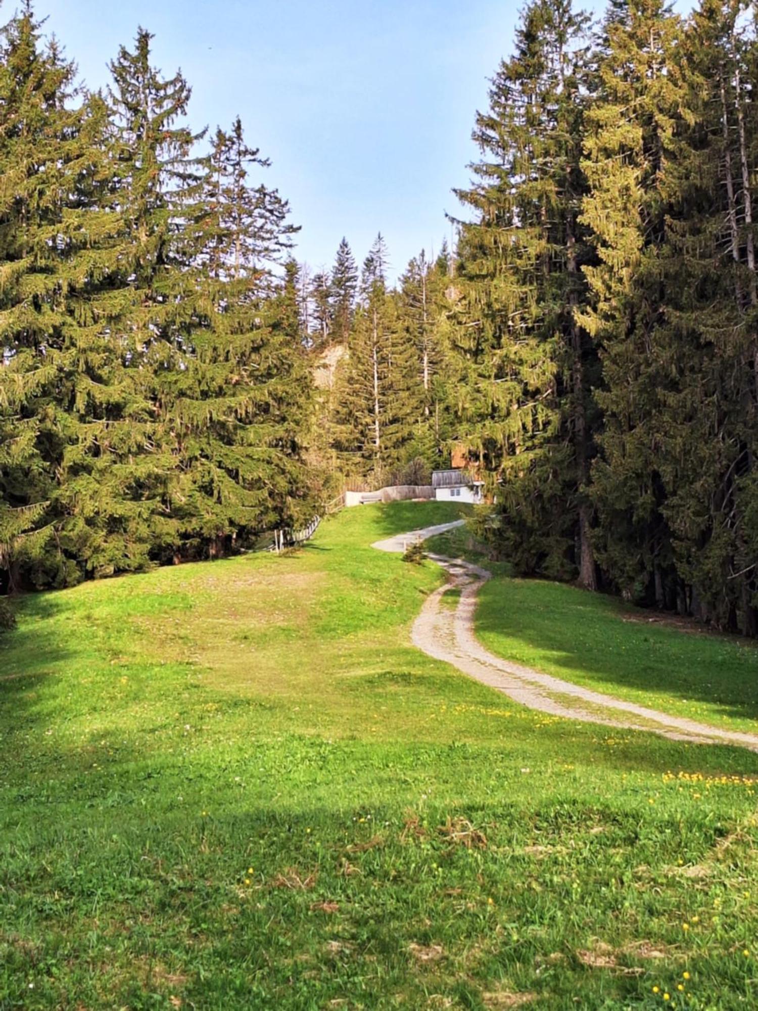 Apartment Rheintal Im Alpenvorland Batschuns Экстерьер фото