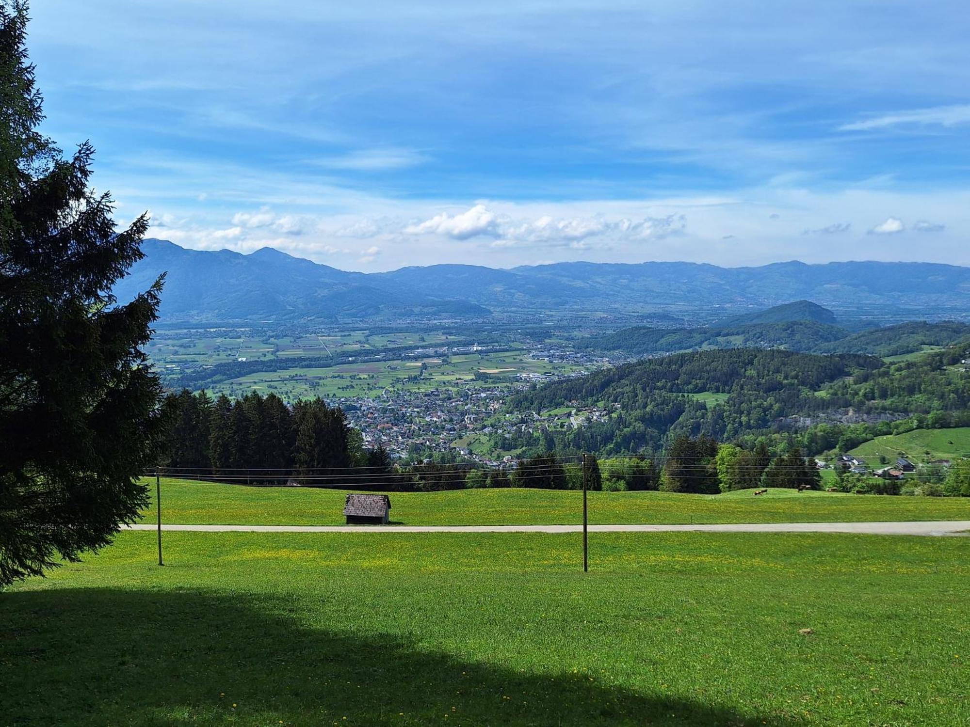 Apartment Rheintal Im Alpenvorland Batschuns Экстерьер фото