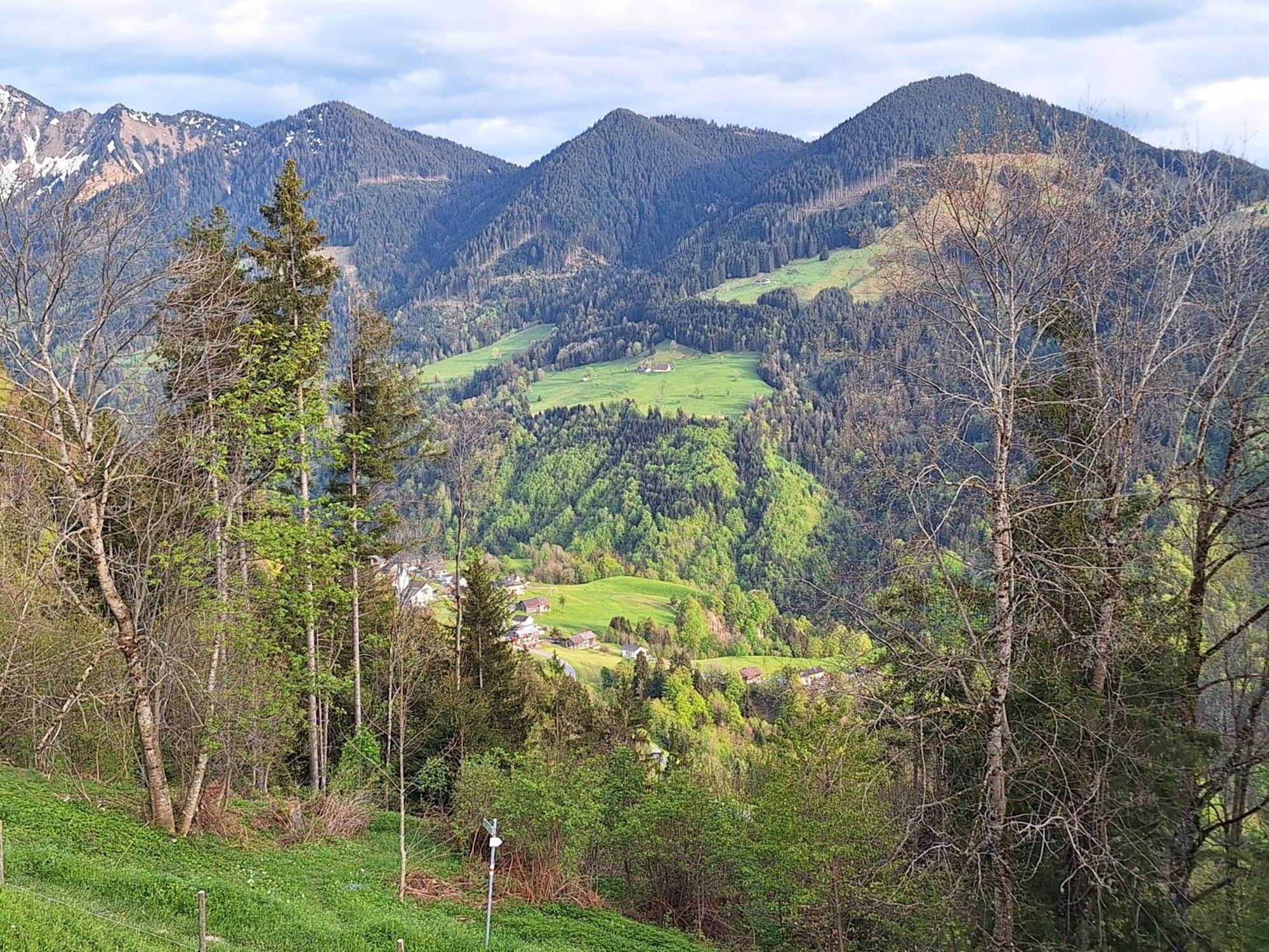 Apartment Rheintal Im Alpenvorland Batschuns Экстерьер фото
