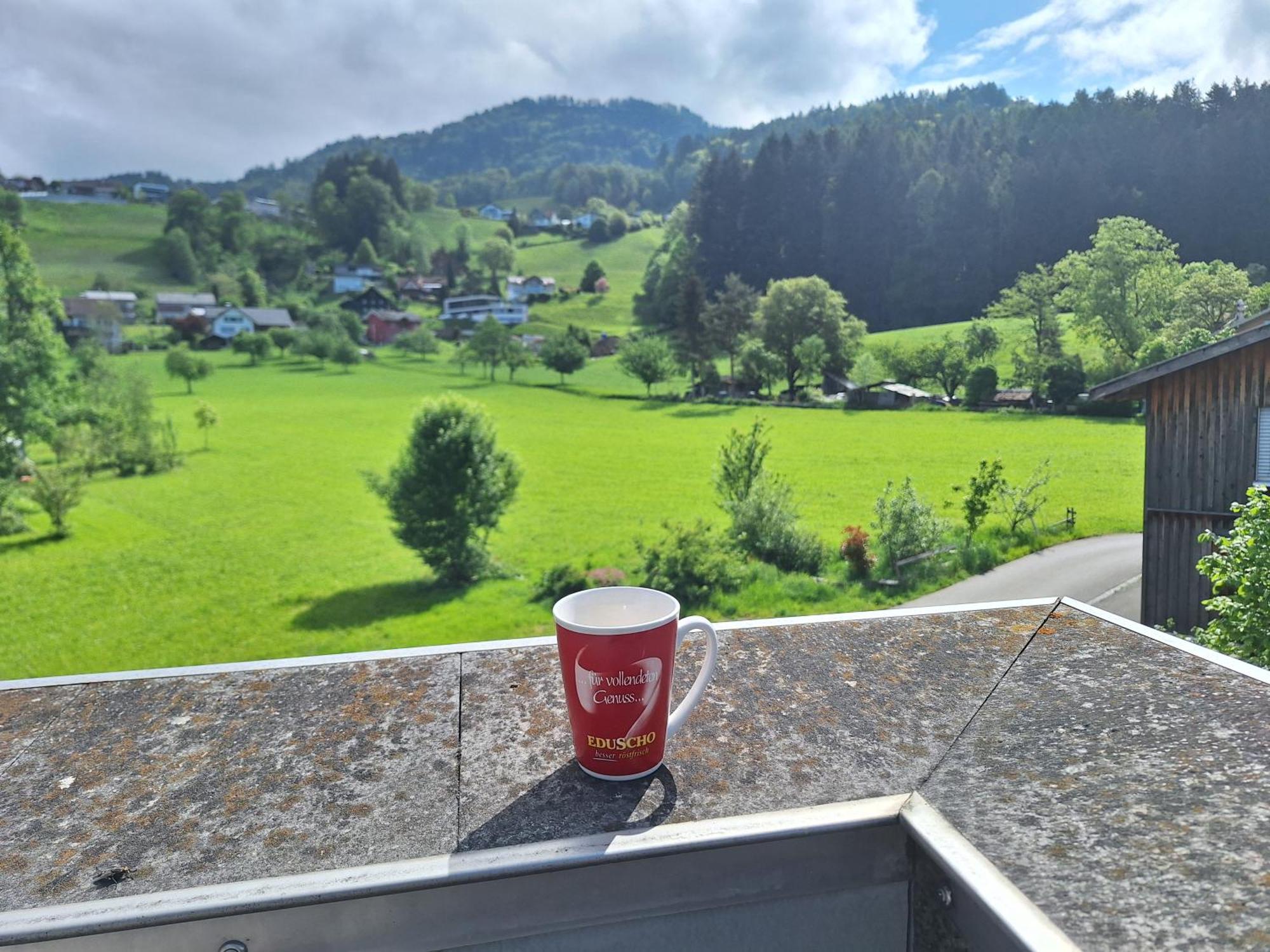 Apartment Rheintal Im Alpenvorland Batschuns Экстерьер фото