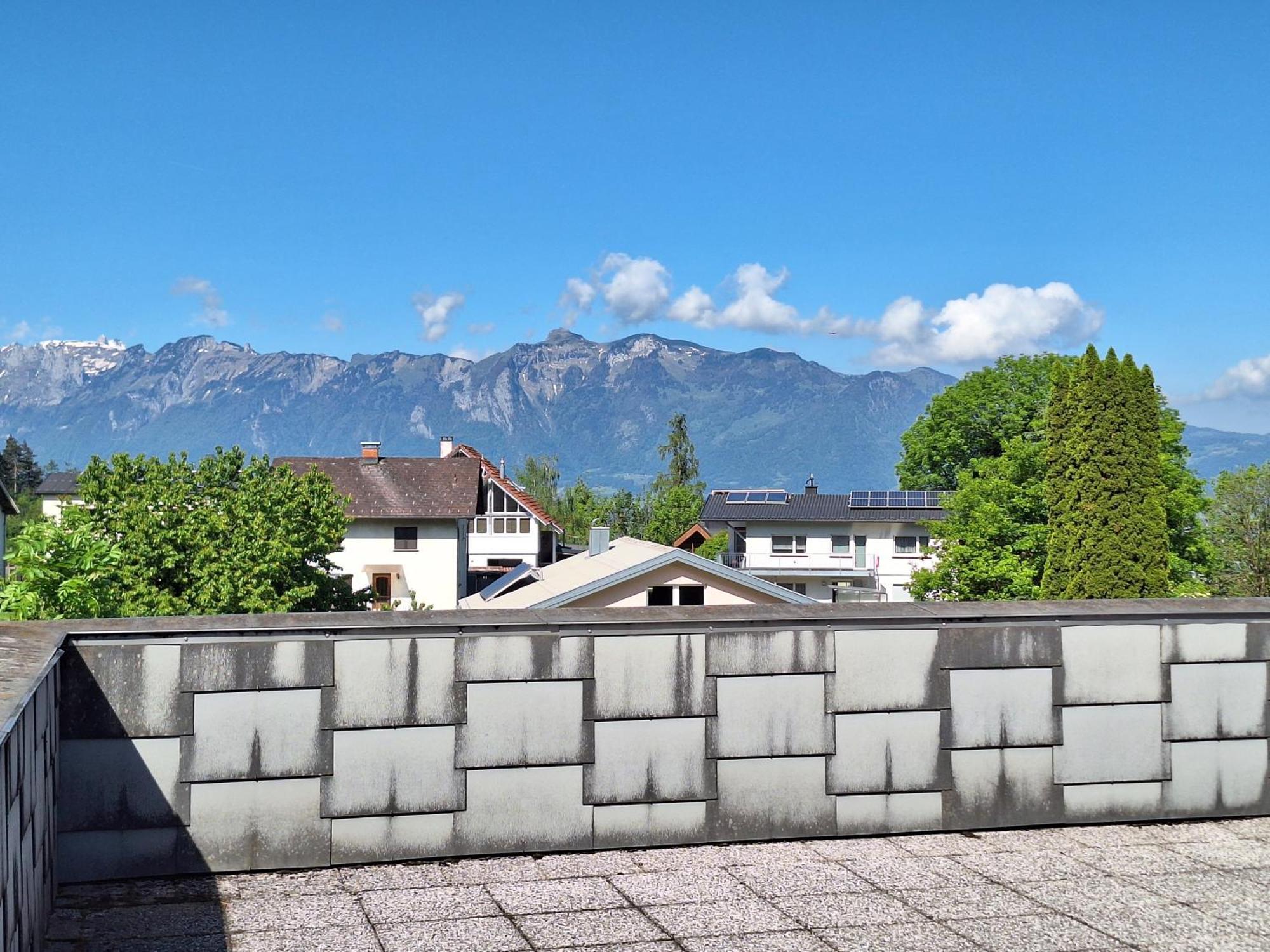 Apartment Rheintal Im Alpenvorland Batschuns Экстерьер фото