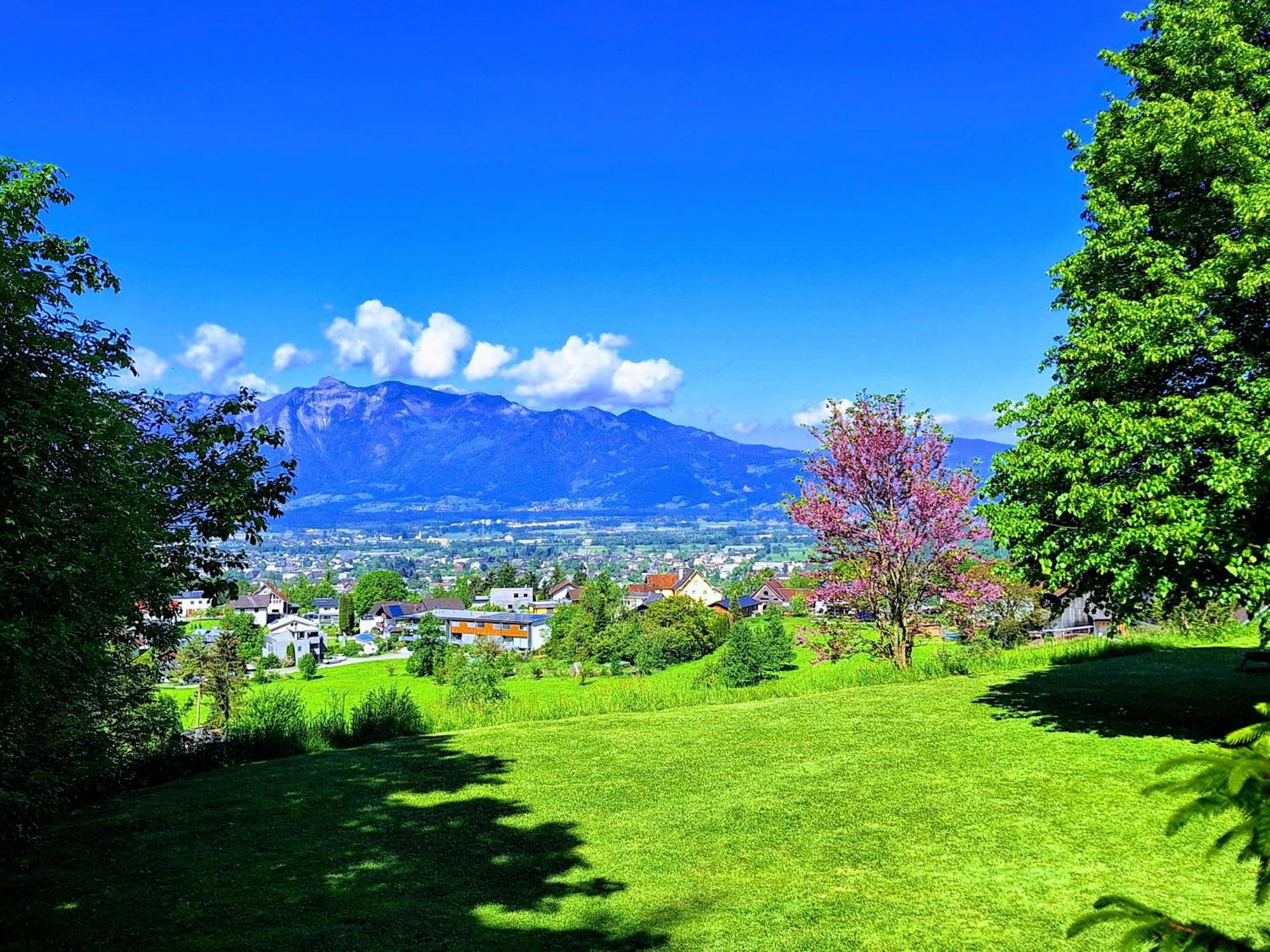 Apartment Rheintal Im Alpenvorland Batschuns Экстерьер фото